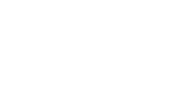 넥슨 logo