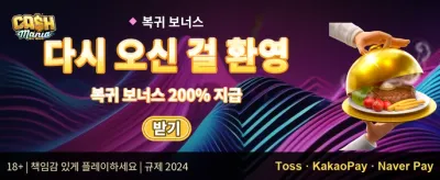 신규 가입자 100% 웰컴 보너스 promotion banner